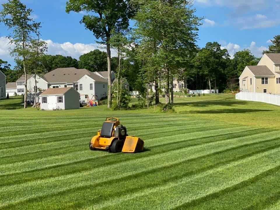 Weekly Lawn Maintenance