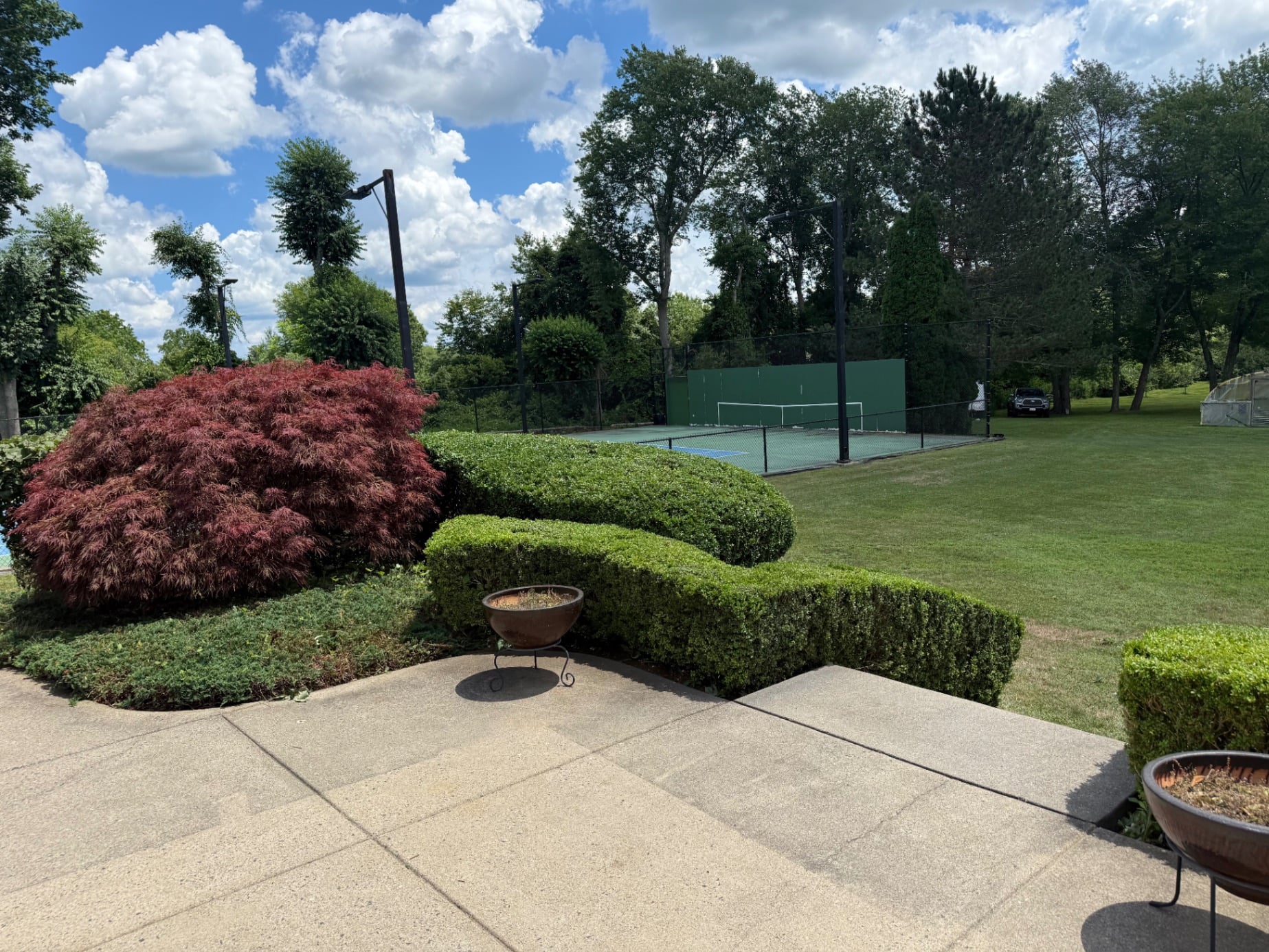 Hedge Trimming & Shaping